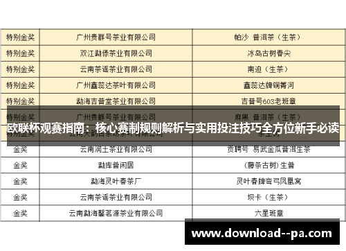 欧联杯观赛指南：核心赛制规则解析与实用投注技巧全方位新手必读